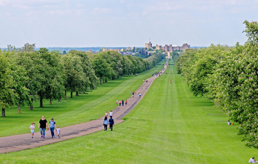 A scenic view of the Long Walk at Windsor, lined with trees and leading to Windsor Castle in the distance.